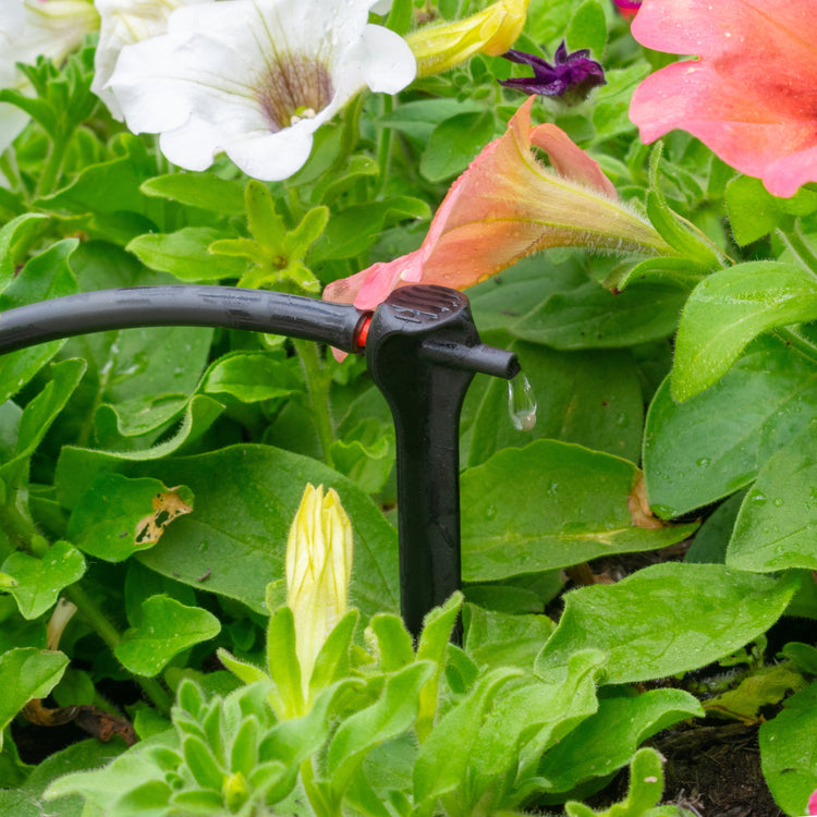 Micro Irrigation Dripper