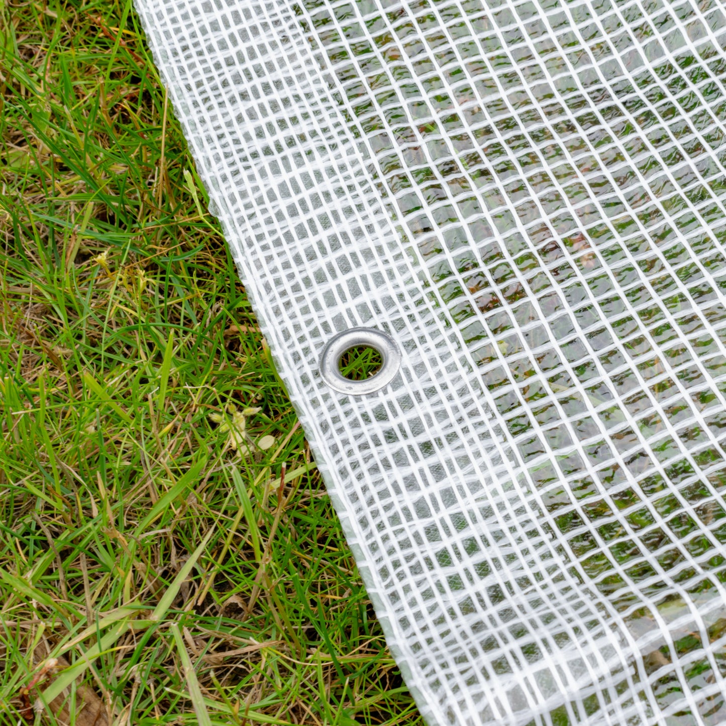 Clear M-Grade Tarpaulin with 10 x 6" Bungee Balls (Black)
