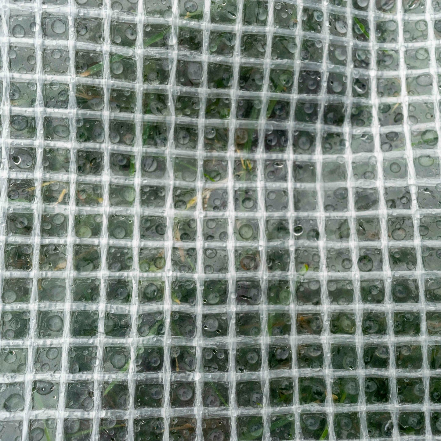 Clear M-Grade Tarpaulin with Bungee Balls (Black)