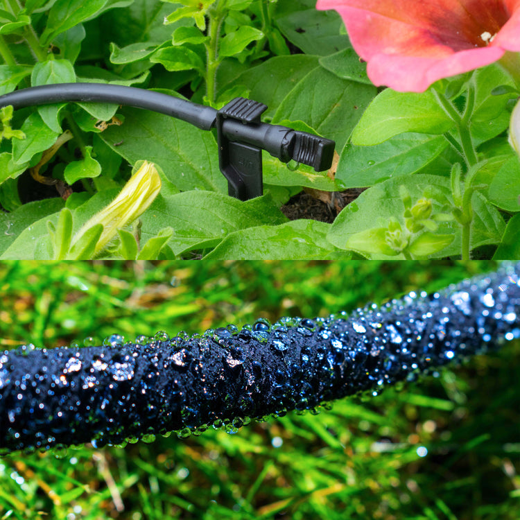 Drip Irrigation
