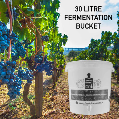 Home Brew Bucket 30L with Tap