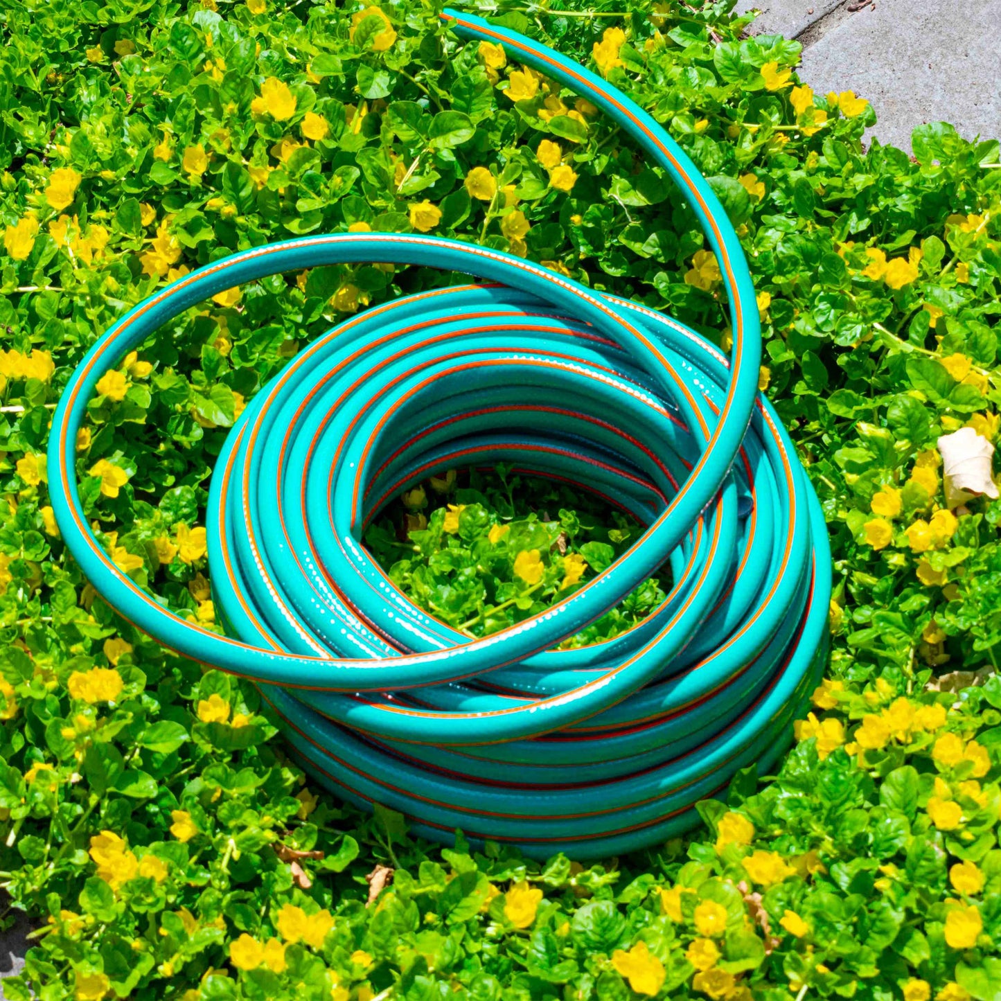 Garden Hose Set Economy Pipe (White Connectors)