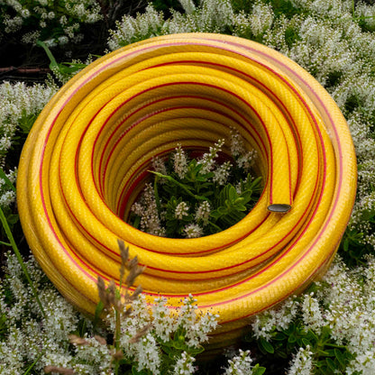 Premium Garden Hose 6-Layer 1/2" Pipe Yellow