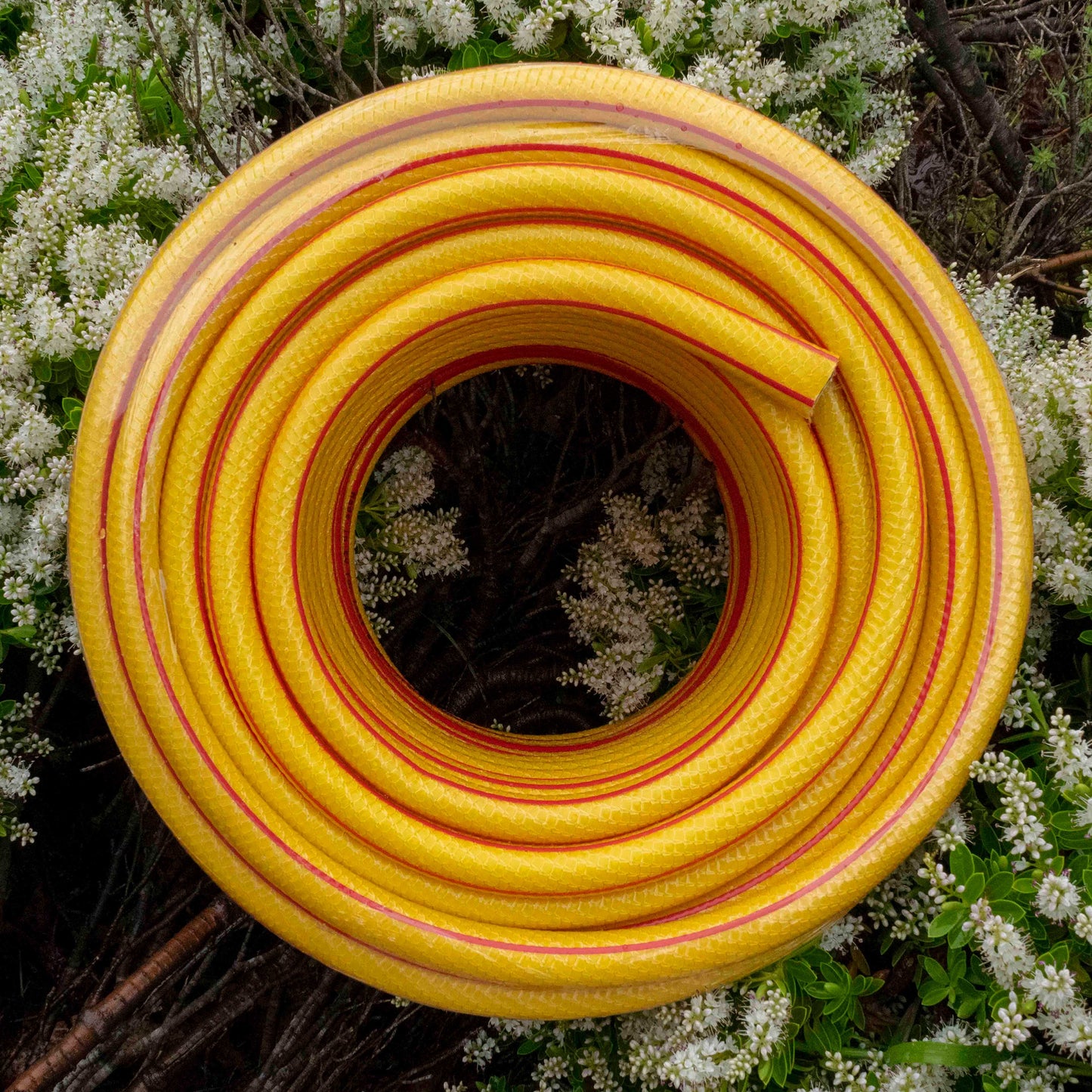 Premium Garden Hose 6-Layer 1/2" Pipe Yellow