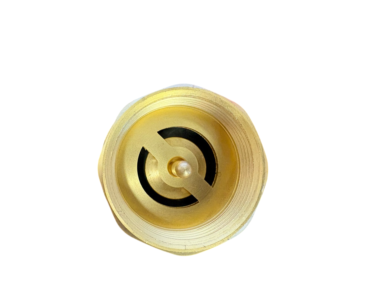 Brass Spring Check Valve with Barbed Connectors