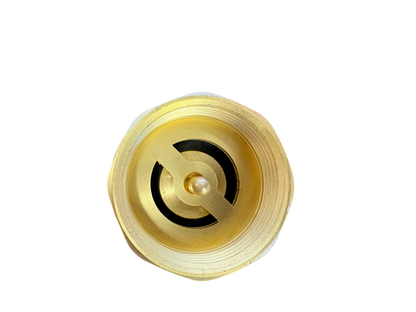 Brass Spring Check Valve with Barbed Connectors
