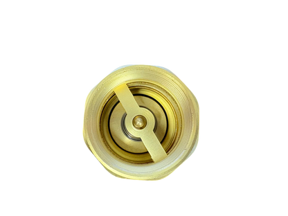 Brass Spring Check Valve with Barbed Connectors
