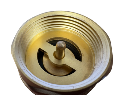Brass Spring Check Valve with Barbed Connectors