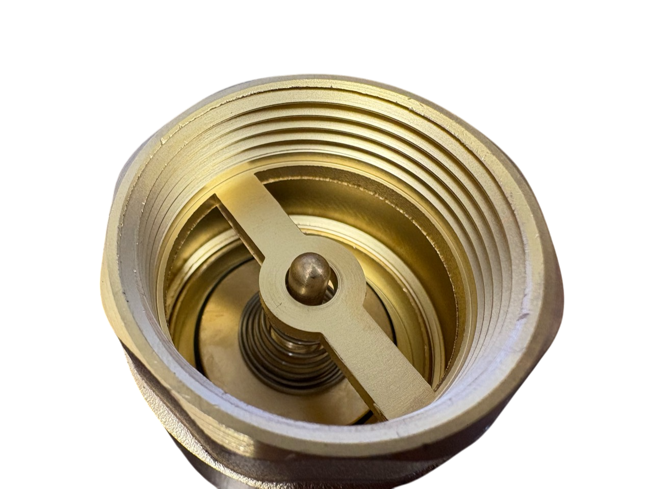 Brass Spring Check Valve with Barbed Connectors