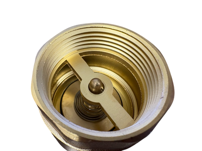 Brass Spring Check Valve with Barbed Connectors