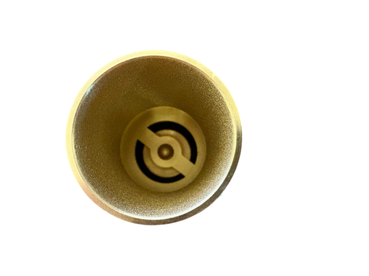 Brass Spring Check Valve with Barbed Connectors
