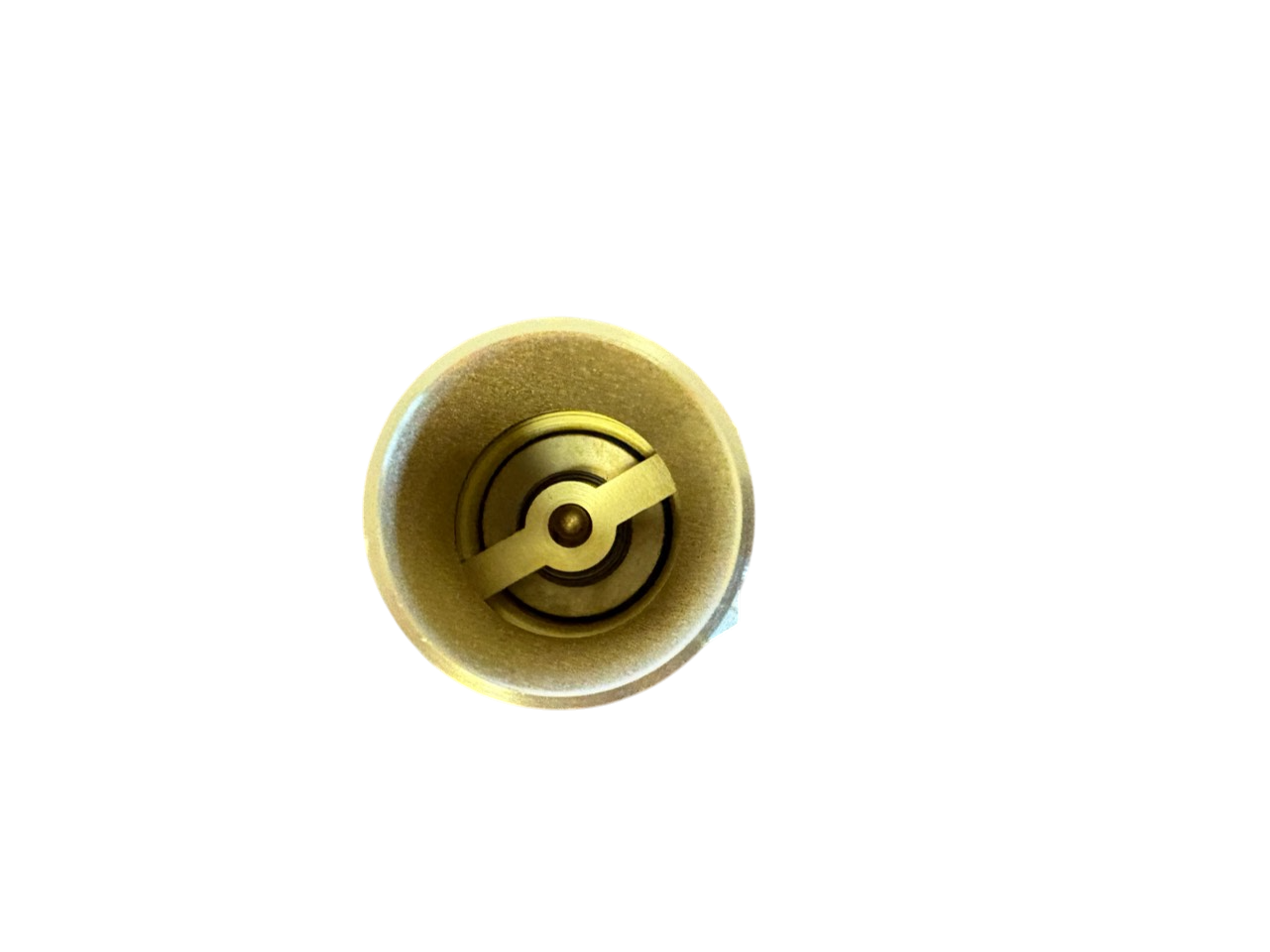 Brass Spring Check Valve with Barbed Connectors