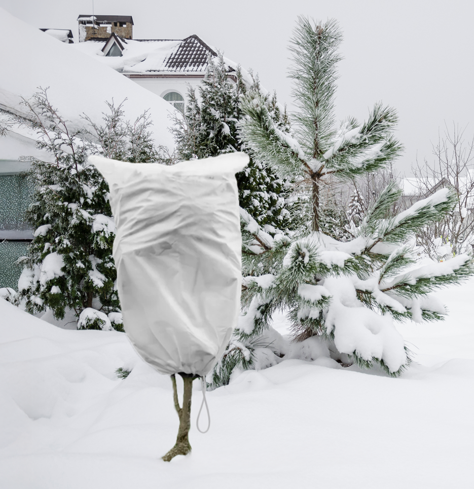 Protective Plant Cover, 50gsm Sack with Cord, Diameter: 38 cm, Size: 0.6m × 0.8 m