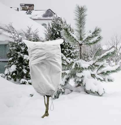 Protective Plant Cover, 50gsm Sack with Cord, Diameter: 80cm, Size: 1.25m × 2m