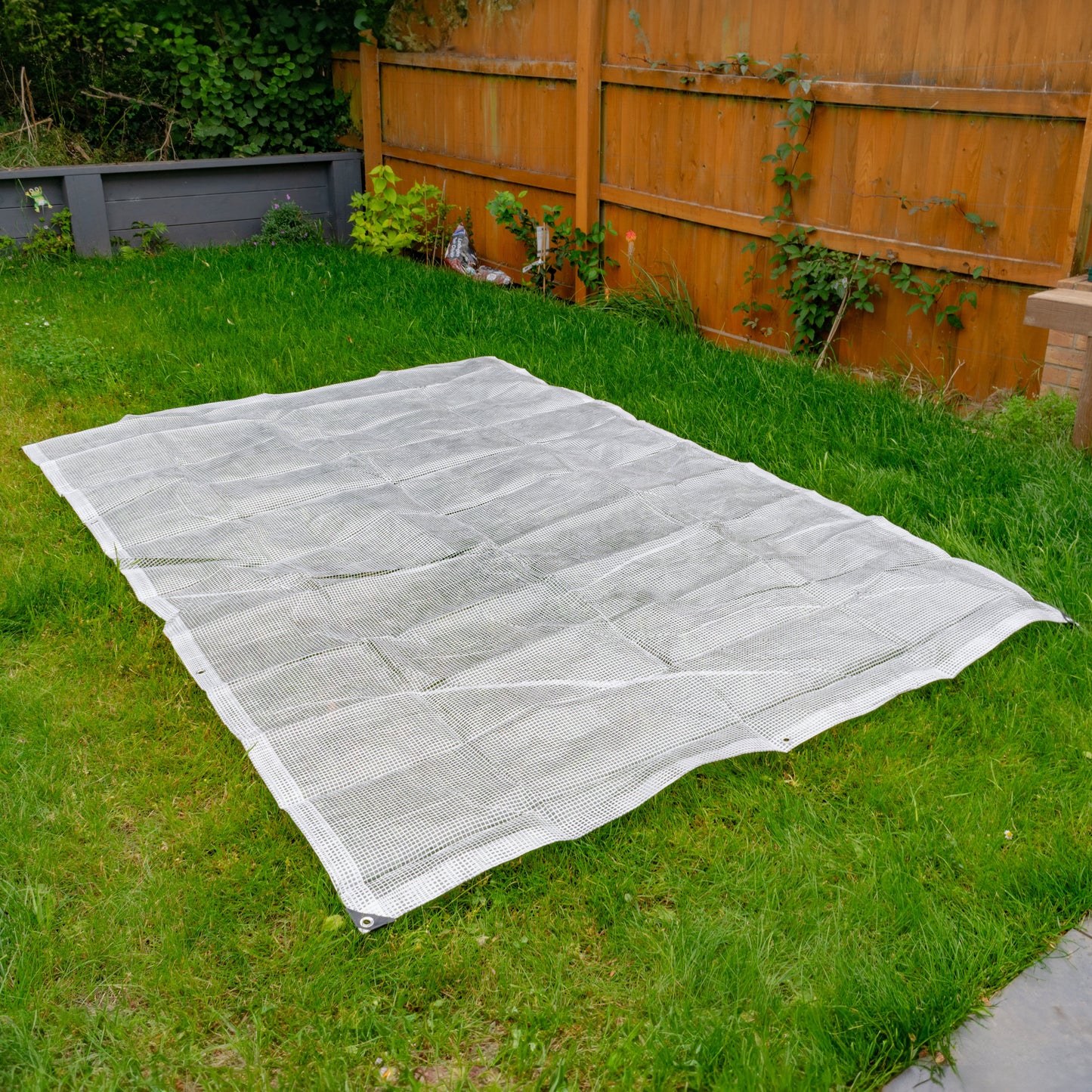 Clear M-Grade Tarpaulin with 20 x 6" Bungee Balls (White)