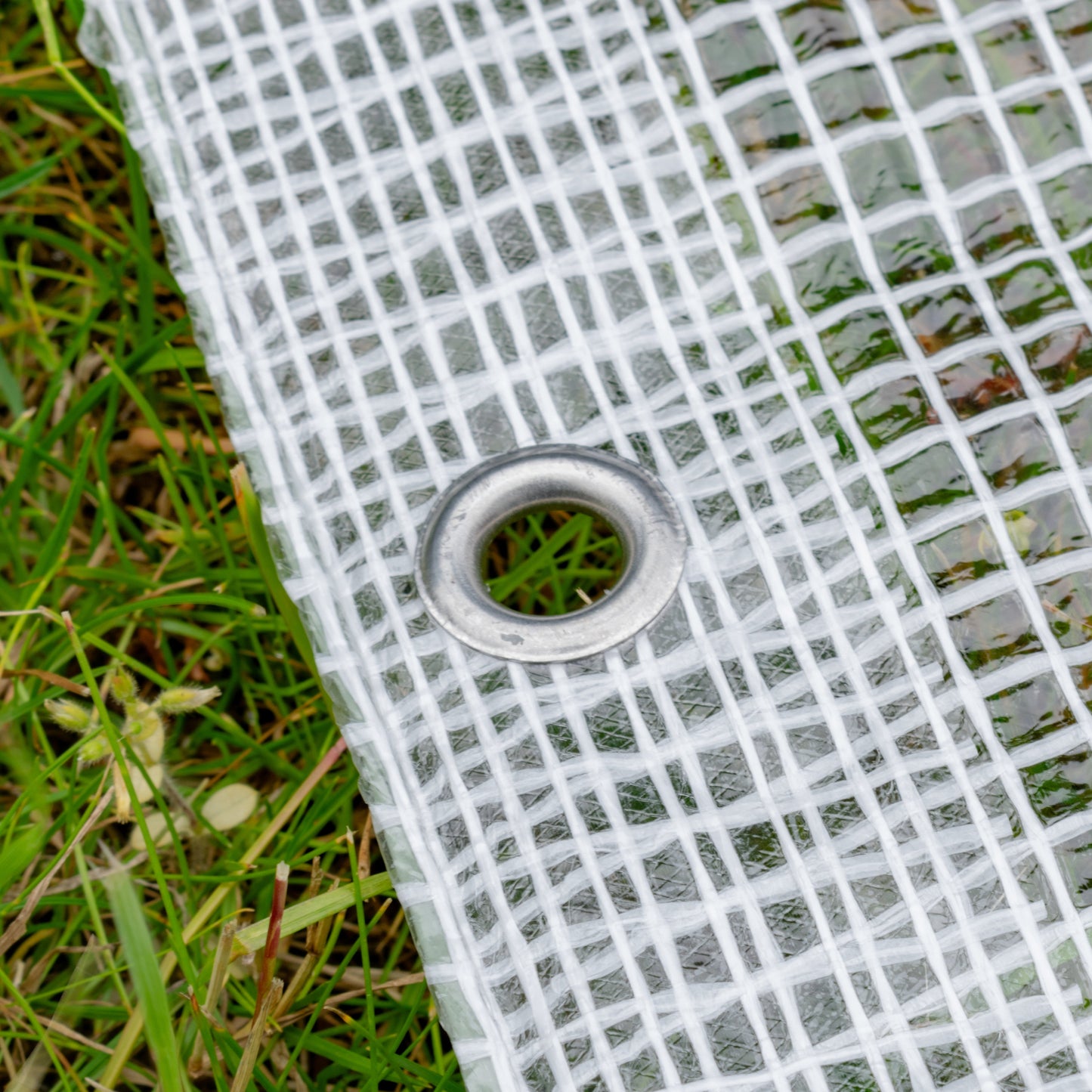 Clear XL-Grade Tarpaulin 3m x 4m