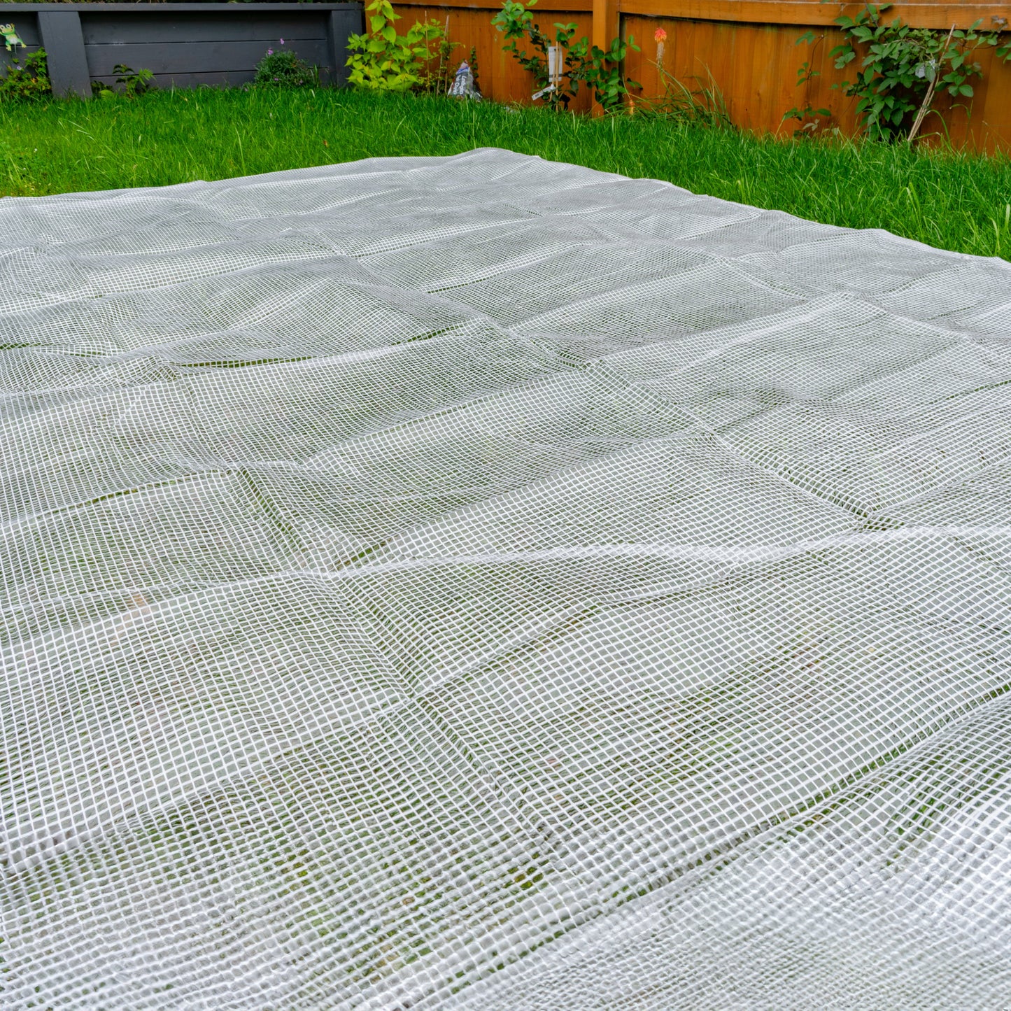 Clear XL-Grade Tarpaulin with 10 Metres of 6mm Bungee Rope