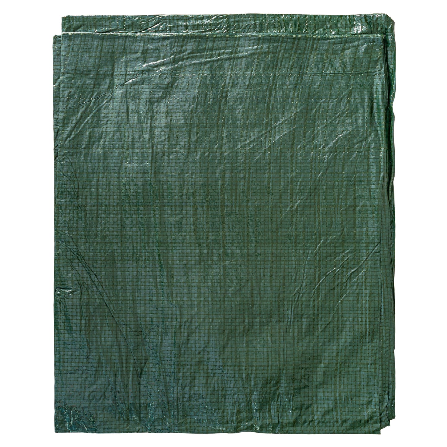 Green S-Grade Tarpaulin with 10m of 6mm Bungee Rope and 10 x Screw Type Tarp Clips