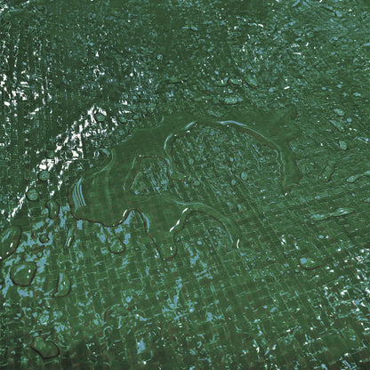 Green S-Grade Tarpaulin with 10m of 6mm Bungee Rope and 10 x Screw Type Tarp Clips